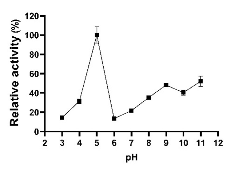Effect of pH on the relative lipolytic activity of Geobacillus stearothermophilus CHI1. The higher relative lipolytic activity was observed at pH values of 5 (310 U/mL), pH 9 (149 U/mL), and pH 11 (161 U/mL).