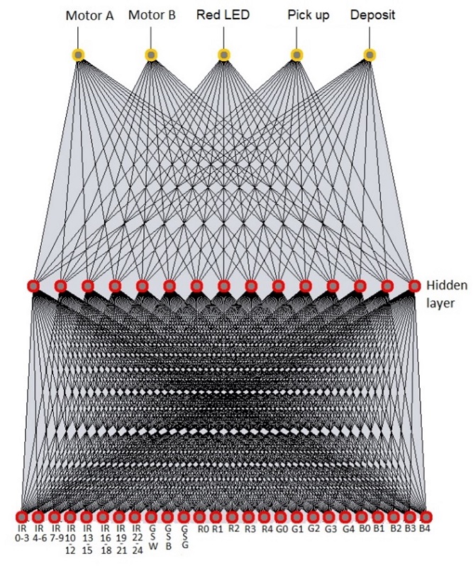 ANN for the experimental group with light communication. It is a dense three-layered network with feed-forward connections.