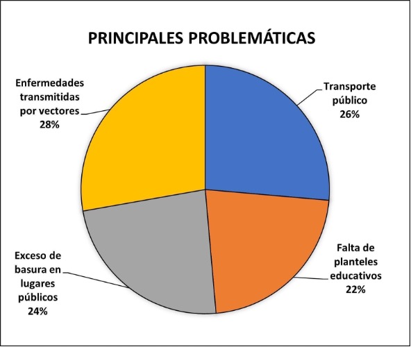 Principales problem�ticas en la comunidad de Cholul, Cantamayec, Yucat�n, M�xico (n = 25).