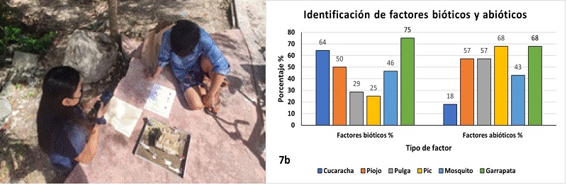 7a. Formato de actividad de inicio: &ldquo;Reconocimiento de factores bi�ticos y abi�ticos&rdquo;. 7b. Porcentaje de identificaci�n de vectores en actividad de cierre: &ldquo;Canci�n factores bi�ticos y abi�ticos&rdquo; espec�ficos para cada vector (n = 25).