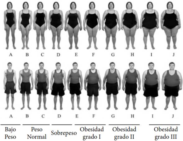 Clasificación del peso corporal basado en el IMC