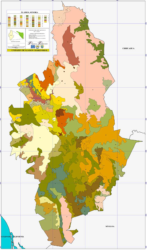 Unidades de gesti&oacute;n territorial.