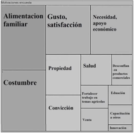 Categorizaci&oacute;n de motivaciones para producir alimentos en la ciudad.