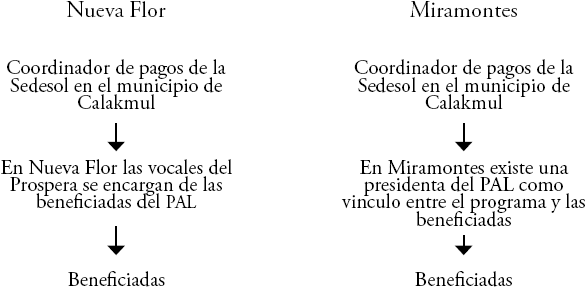 Organización del programa PAL a nivel municipal y dentro de la comunidad