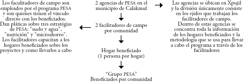 Organización del programa PESA a nivel municipal