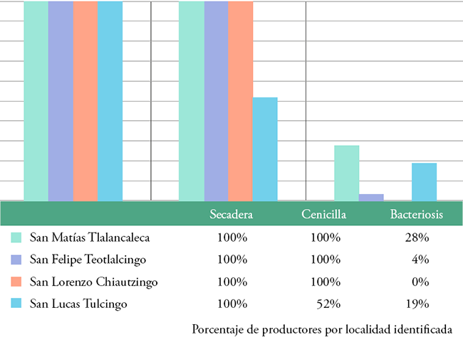 Principales enfermedades del chile poblano en la región de estudio