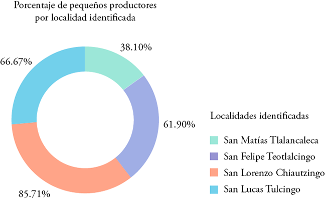 Porcentajes de productores que siembran superficies menores a 100 m2 en la región de estudio
