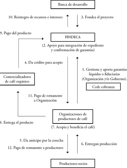 Modelo operativo de Findeca y organizaciones de productores de caf&eacute; para financiamiento del acopio y comercializaci&oacute;n de caf&eacute; pergamino