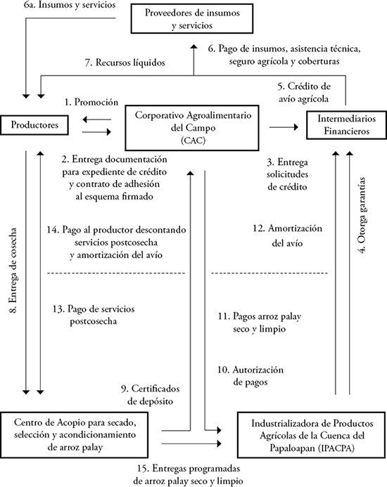 Modelo operativo (agricultura por contrato) del Corporativo Agroalimentario del Campo (CAC)