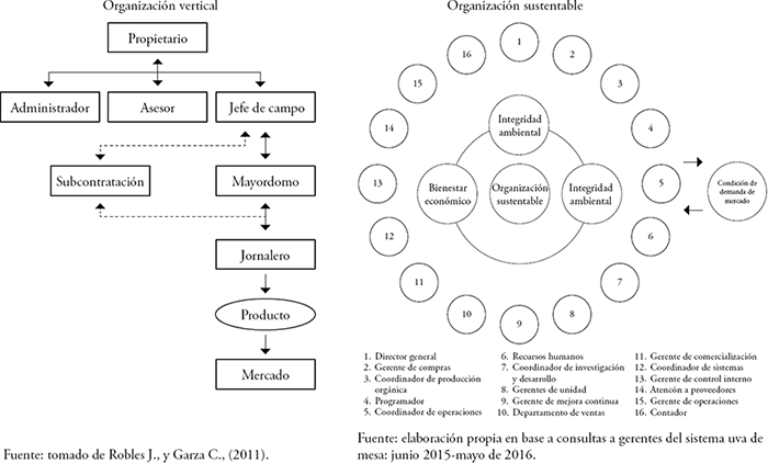 De formas de organizaci&oacute;n vertical a organizaciones sustentables