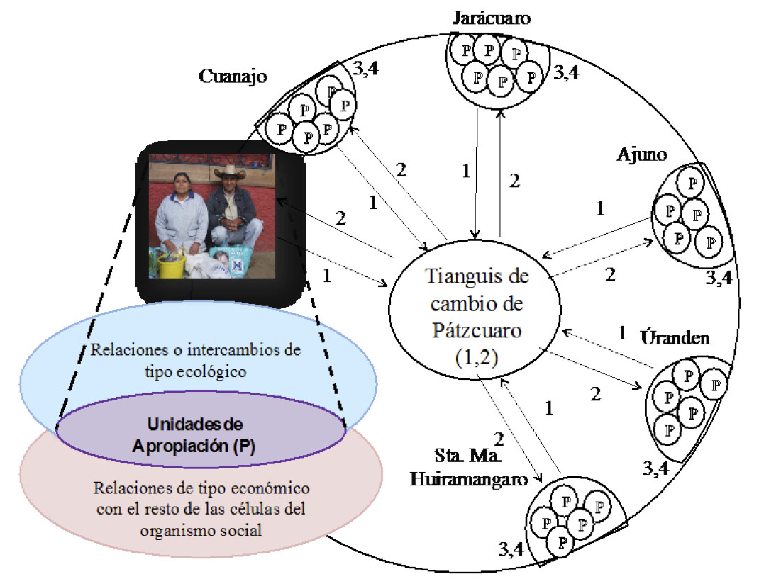 Perfil metab&oacute;lico del Tianguis de P&aacute;tzcuaro actual.