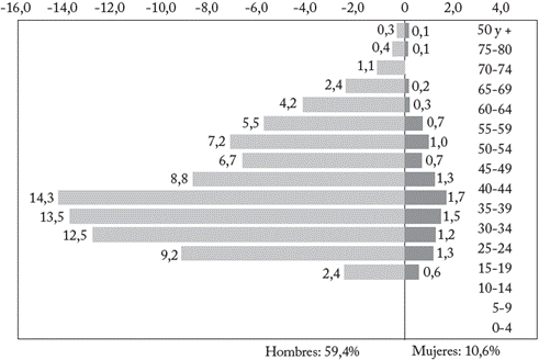 Estructura poblacional, Bogot&aacute; 2017