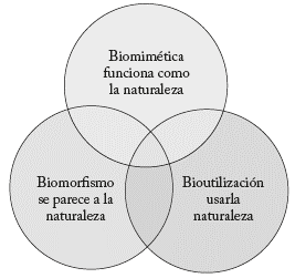 Enfoques para el diseño e ingeniería basados en la naturaleza.