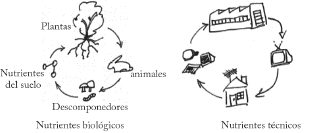 Representación de nutrientes biológicos y tecnológicos.