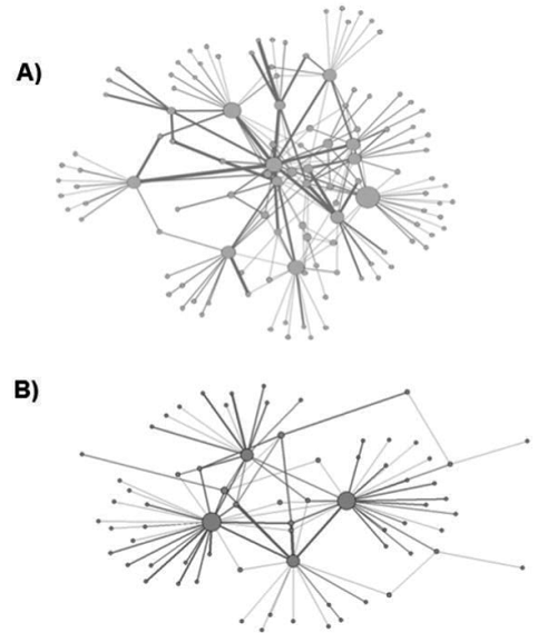 Configuración por nodos de las redes de participación en los
grupos de trabajo (GT) de los Programas de Acción para la
Conservación de Especies (PACE).