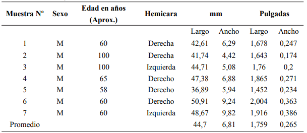 Tabla 1. Sexo, Edad aproximada, Lado de las muestras y Medidas en mm y pulgadas del largo y ancho de los músculos esfenos mandibulares disecados.