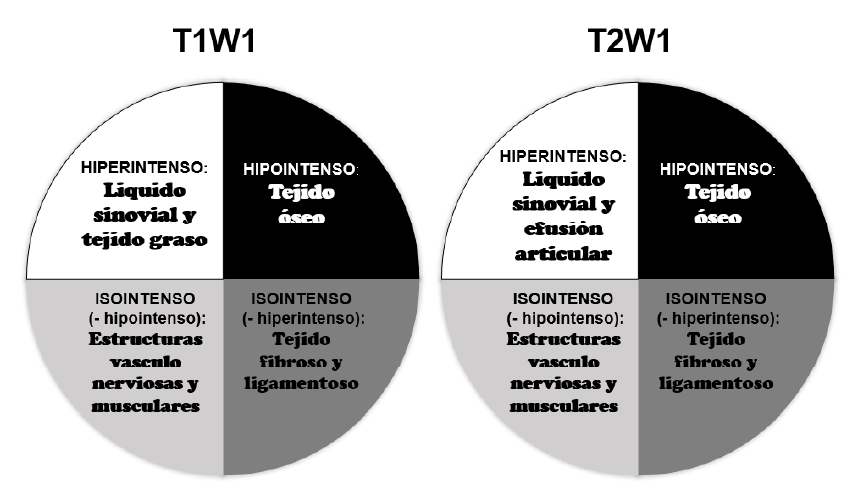Figura 3. Diagrama que muestra las diferentes señales en diferentes tejidos de la ATM.