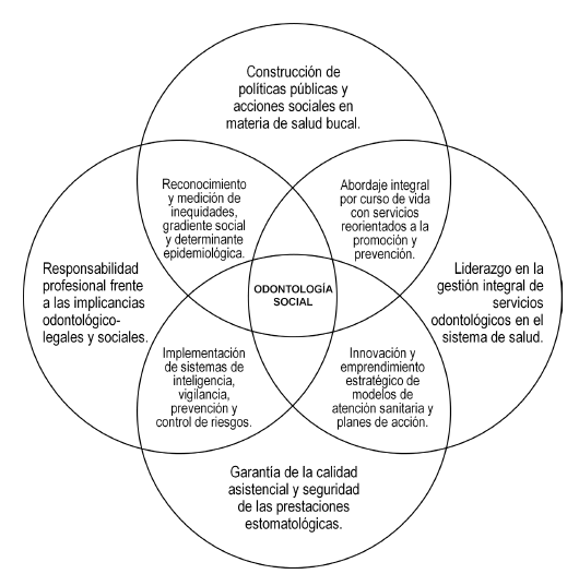 Figura 2. Ejes complementarios para el dise�o curricular y gesti�n de competencias para programas de posgrado y especializaci�n en Salud P�blica, Gesti�n Sanitaria, Auditor�a Cl�nica y Ciencias Forenses en Estomatolog�a. (Jorge E. Manrique-Ch�vez. Facultad de Estomatolog�a-UPCH.  2011)