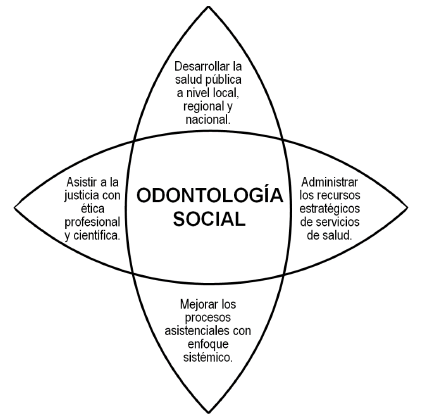 Figura 3. Competencias requeridas por los programas de segunda especializaci�n profesional orientados a los campos de Salud P�blica, Gesti�n Sanitaria, Auditor�a Cl�nica y Ciencias Forenses en Estomatolog�a. (Jorge E. Manrique-Ch�vez. Facultad de Estomatolog�a-UPCH. 2011)
