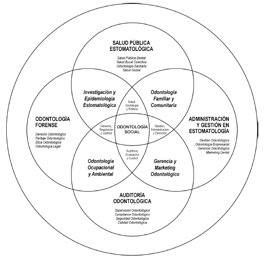 Figura 6. Modelo de Campos del Conocimiento para el Dise�o Curricular y Gesti�n de Competencias para Programas de Posgrado y Especializaci�n en Salud P�blica, Gesti�n Sanitaria, Auditor�a Cl�nica y Ciencias Forenses en Estomatolog�a. (Jorge E. Manrique-Ch�vez.  Facultad de Estomatolog�a-UPCH. 2011)