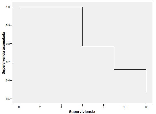 Anlisis de permanencia de los sellantes ionomricos a los 3, 6, 9 y 12 meses de seguimiento (Kaplan Meier) en pre escolares.