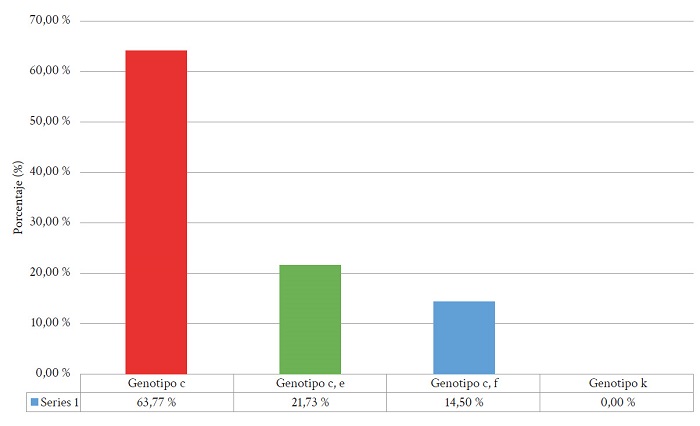 Porcentaje de genotipos individuales y m�ltiples hallados en el estudio.