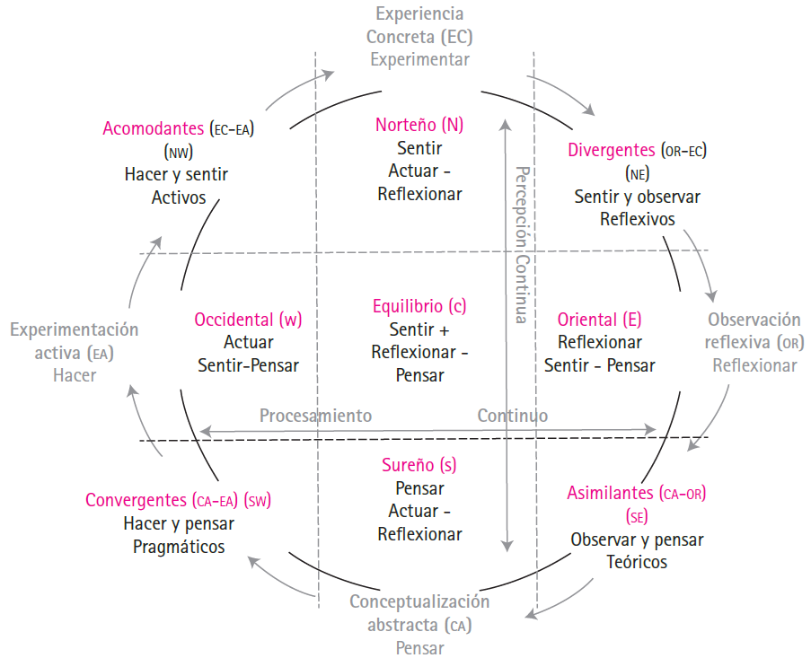 Las nueve regiones de los estilos de aprendizaje y el c&iacute;rculo del aprendizaje experimental