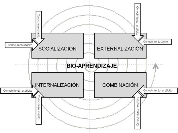 Espiral de aprendizaje desde la gestión educativa.