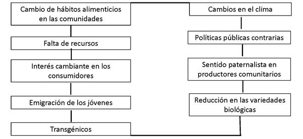 Problemáticas compartidas identificadas en los nodos alimentarios