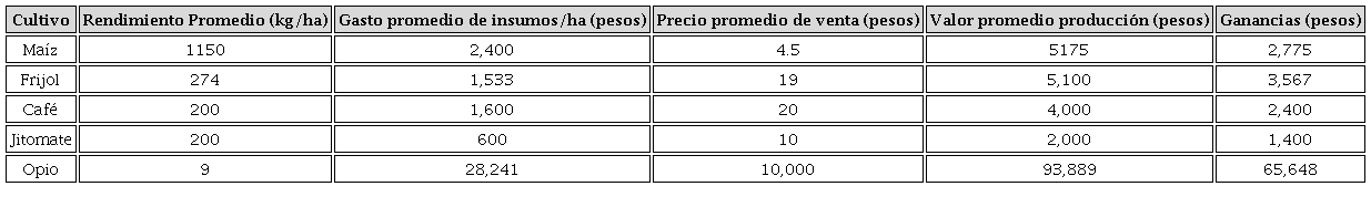 Análisis de rendimiento del cultivo ilícito y cultivos tradicionales 201836