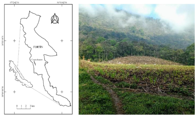 Localización de la comunidad de Coapichapan en Fortín, Veracruz,
							México y vista del “Cerro de las Antenas”
