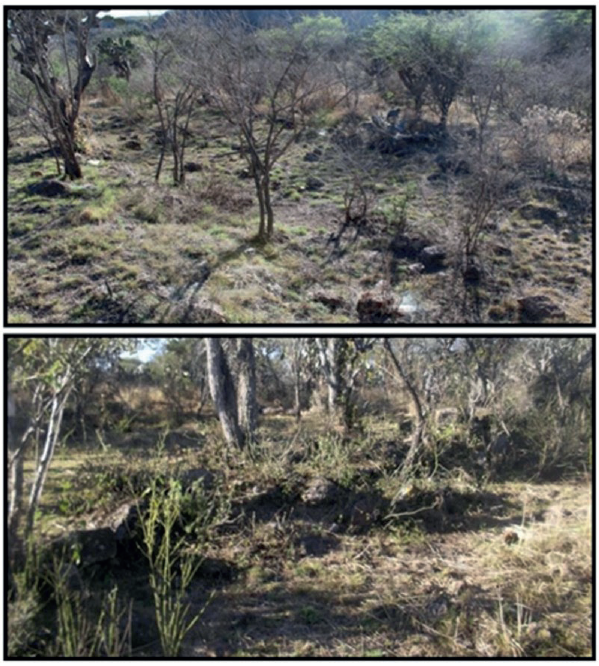 Evidencia de terrazas en la ladera oeste y norte del Cerro de San Miguel
