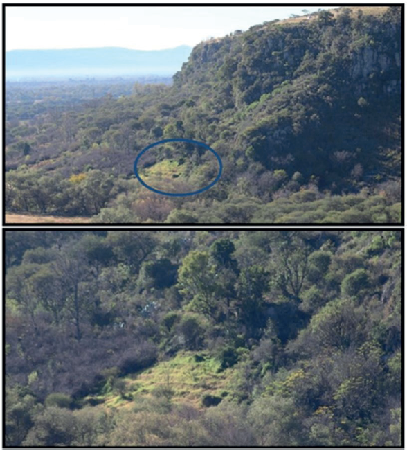 Terrazas de uso agrcola en la ladera baja del Cerro de la Santa Cruz con canal de irrigacin que provee de agua desde los manantiales de Atotonilco, ubicados 1 km al oeste
