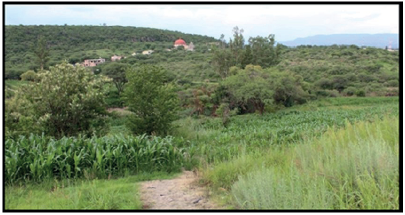 Terrazas de uso agrcola en la ladera media del Cerro de la Santa Cruz en Atotonilco, Momax