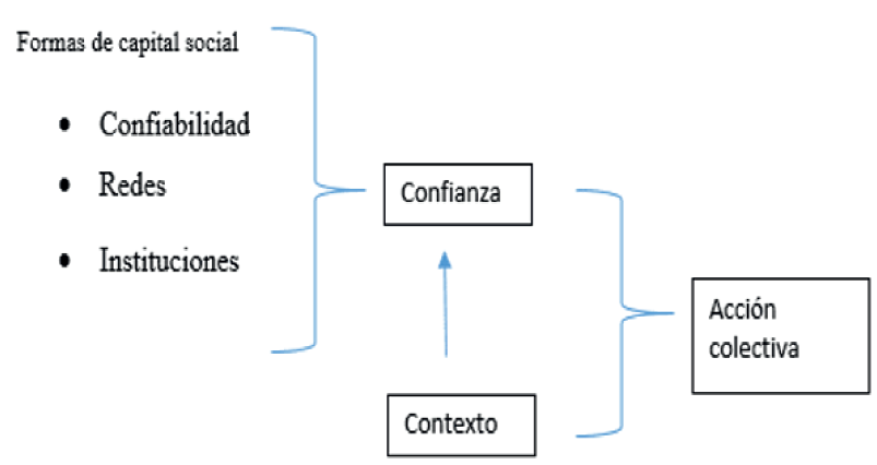 Formas de capital social