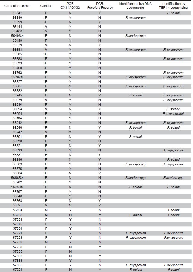 Molecular identification of Fusarium isolates obtained from clinical samples