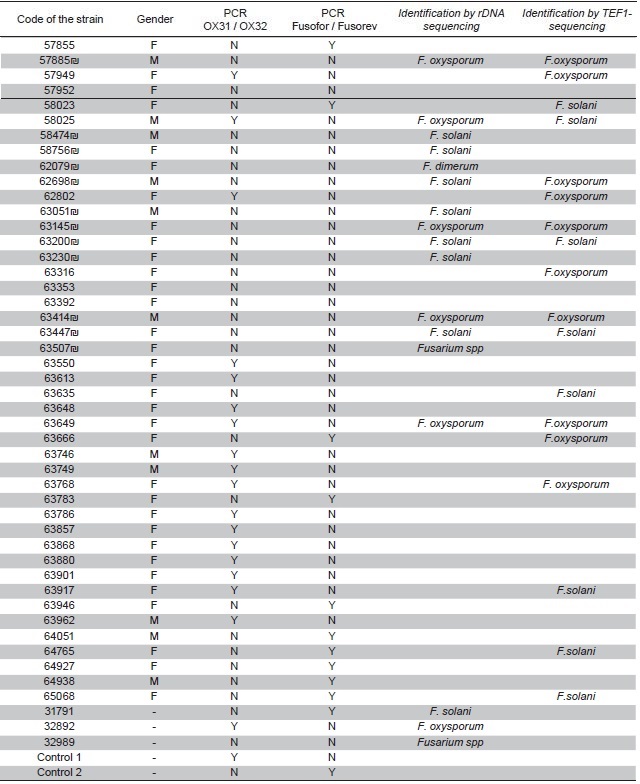 Molecular identification of Fusarium isolates obtained from clinical samples