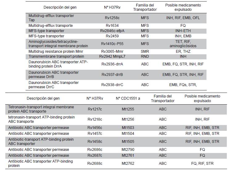 Transportadores involucrados con f&aacute;rmaco-resistencia en Mycobacterium tuberculosis