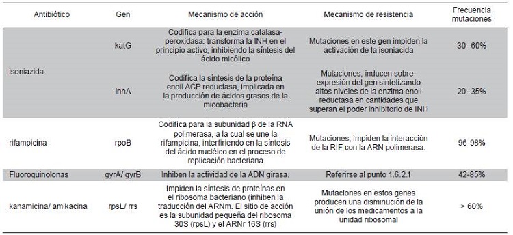 Genes asociados con resistencia a medicamentos anti-tuberculosos