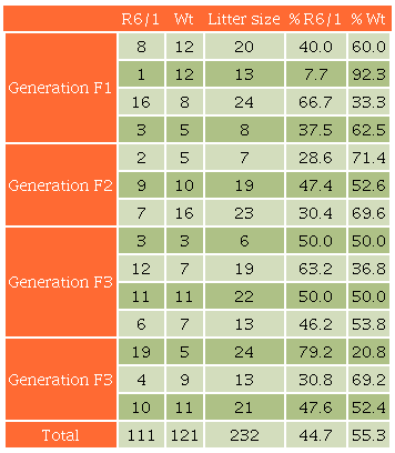 Summary of the reproduction and genotype of the R6/1 transgenic and Wild-type (WT) mouse colony at INNN.