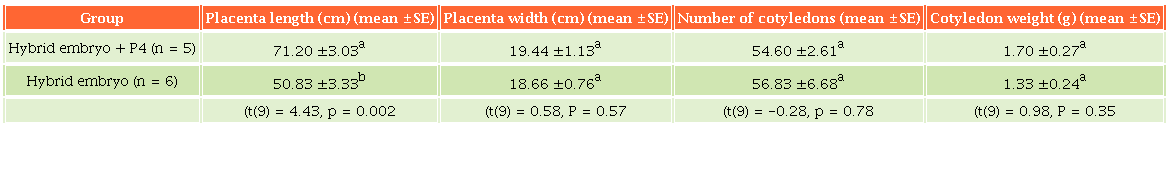 Placental morphometry by group