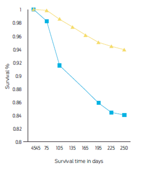 Fetal survival curves in dairy cows () and heifers (), after day 45 post-insemination pregnancy diagnosis.