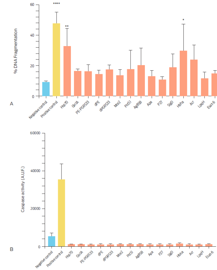 Percentage of DNA fragmented bovine macrophages and caspase 3 activity after culture with Mycobacterium tuberculosis complex recombinant proteins for 16 hours. A) Macrophages were incubated with 10 µg/ml of each protein and 20 µg/ml of camptothecin and RPMI as positive and negative controls, respectively. DNA fragmentation was assessed by TUNEL assay. Results are expressed as means ± S.E of three independent assays (P <0.05). B) Caspase activity was measured using arbitrary units of fluorescence (A.U.F.), in106 bovine macrophages incubated for 24 hours with 10 µg/ml of each of the recombinant proteins Data are expressed as means ±S.E. of two independent assays with two replicas each. Recombinant proteins Ag85-B, Apa and Gln1A were not included when analyzing caspase activity.
