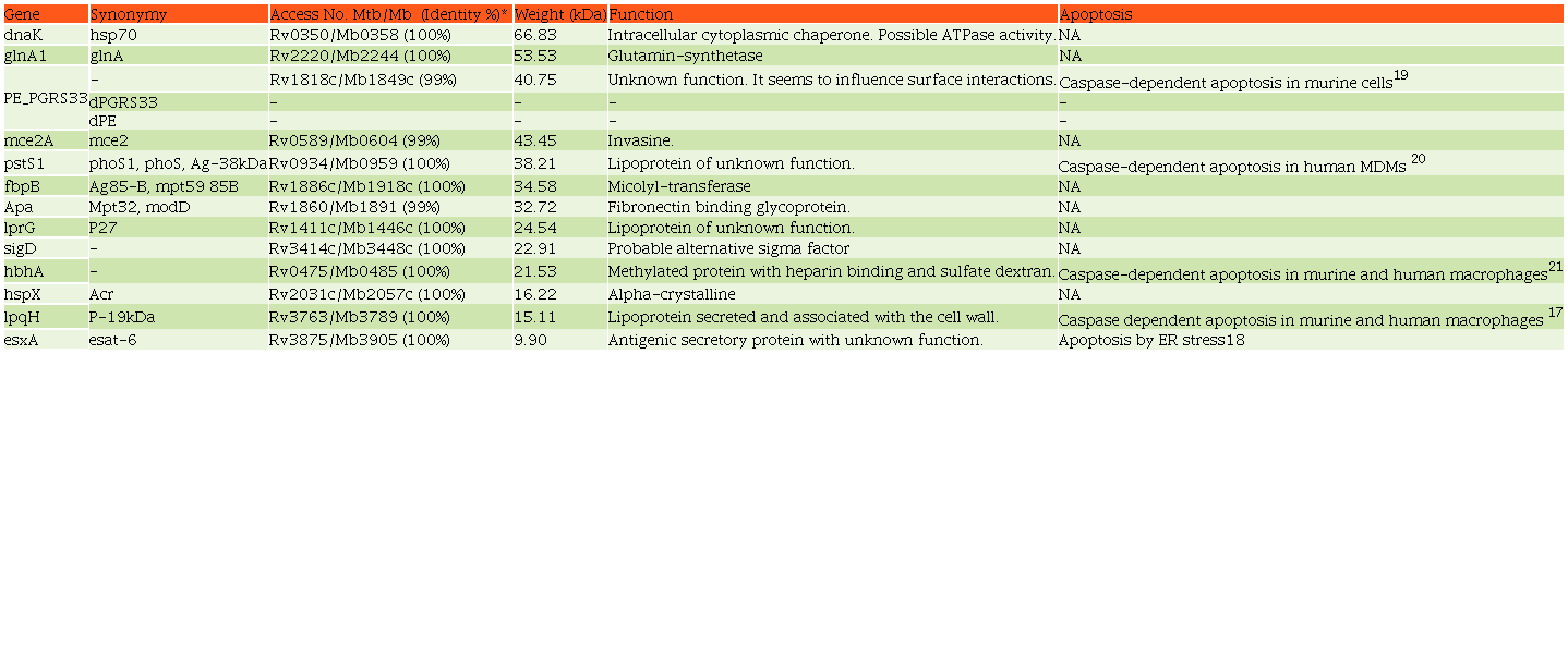 Recombinant proteins used for apoptosis induction in bovine macrophages