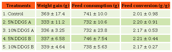 Weight gain (g), feed consumption (g/bird), and feed conversion
								(g/g) of broiler chicks fed a sorghum based control diet or this
								same diet supplemented with either 5% or 10% of two low-oil DDGS
								from days 8 to 21 of age (Experiment 2).a