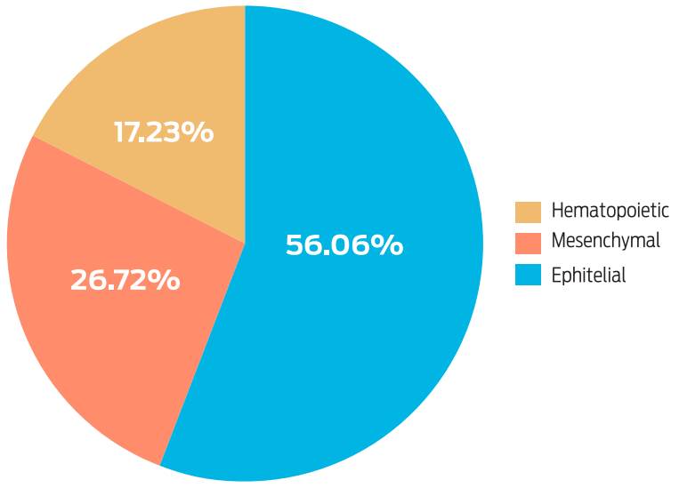Distribution of neoplasms in cats according to the cellular lineage of origin.