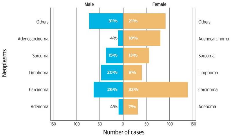 Most frequent neoplasm histotype distribution by sex.
