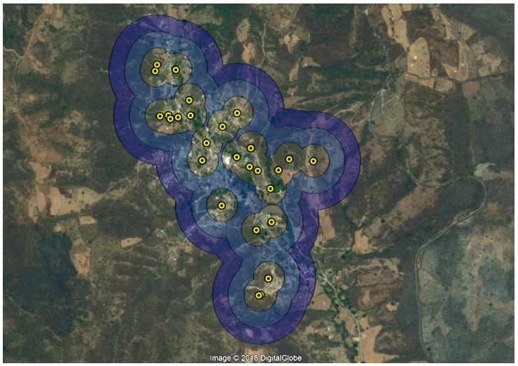 Pig movement radiuses in a Mexican location. Each circle represents a 100-m radius with respect to the site of households where pigs are reared. Located by GPS.