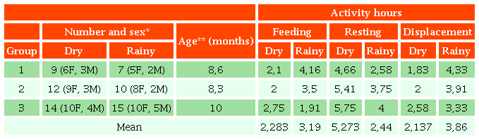 Composition of the three groups under study and activities recorded by season of the year. San Martín Pachivia, Guerrero, Mexico.