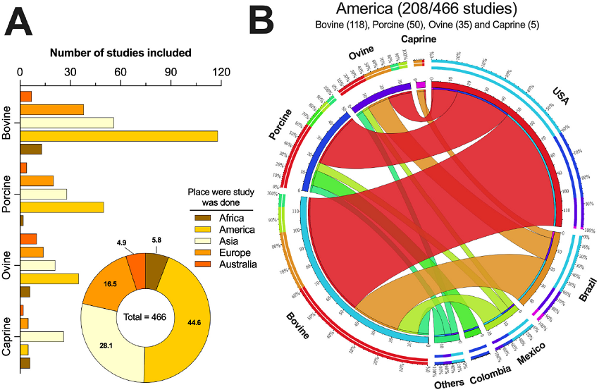 A) The number of articles per productive species according to the continent where the study was conducted, and B) circos plot of the association between the four main countries that published the highest number of articles from America. The insert shows the distribution of the articles per continent where the studies were performed.